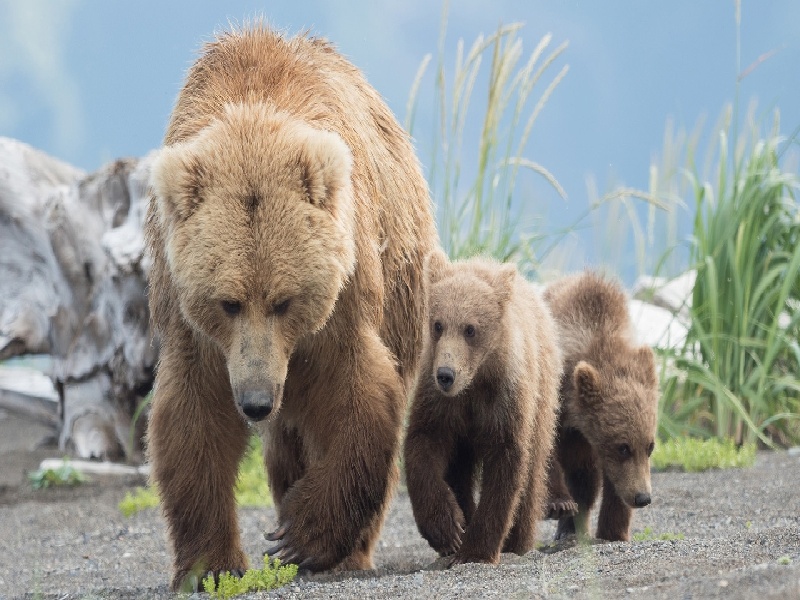 第十二次产检（37周）